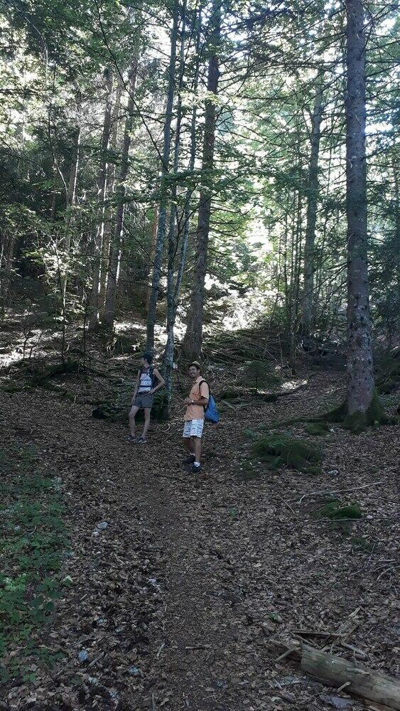 La montée dans les bois La montée dans les bois